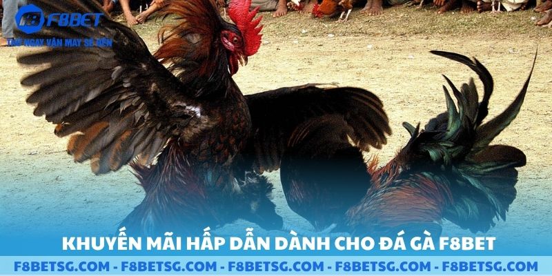 Khuyến mãi hấp dẫn dành cho người chơi F8BET