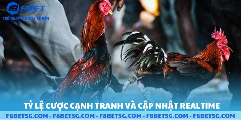 Tỷ lệ cược cạnh tranh và cập nhật Realtime